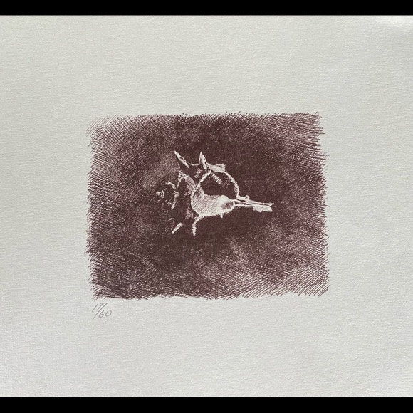 Sea Shell Prints-Limited Edition and Numbered. - Picture 5 of 7